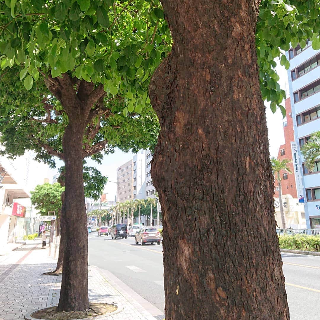 ESTINATE HOTELのグルメインスタ