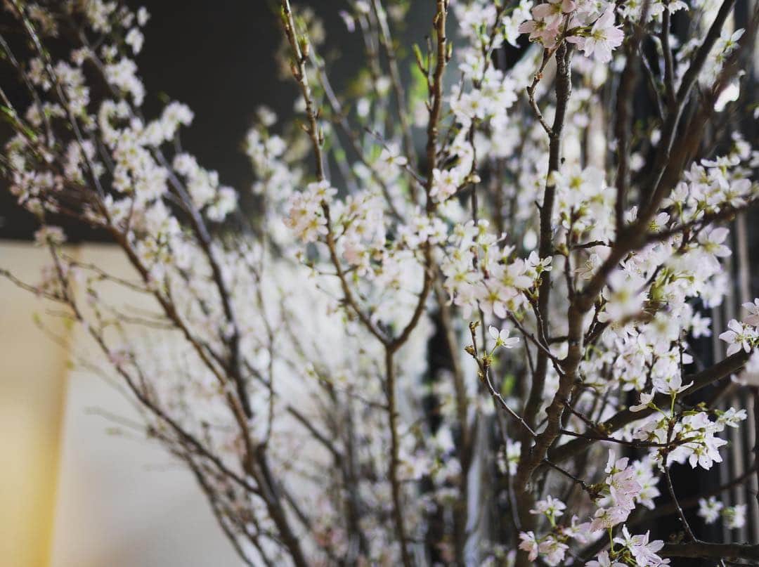 Risako Yamamotoさんのインスタグラム写真 - (Risako YamamotoInstagram)「京都ランチ @izama_kyoto  季節ごとに伺うのがmy定番♡ ・ 今の時期は春のおばんざい御膳🌸 桜のちらし寿司や、季節の食材の八寸などが詰まったもの。 ・ デザートの最中は桜のアイスで、このアイスがまた絶品でした🌸😋💕♥️ ・ ・ #京都ランチ #京都 #IZAMA #居様 #kyoto #春のおばんざい御膳」3月27日 19時24分 - risako_yamamoto