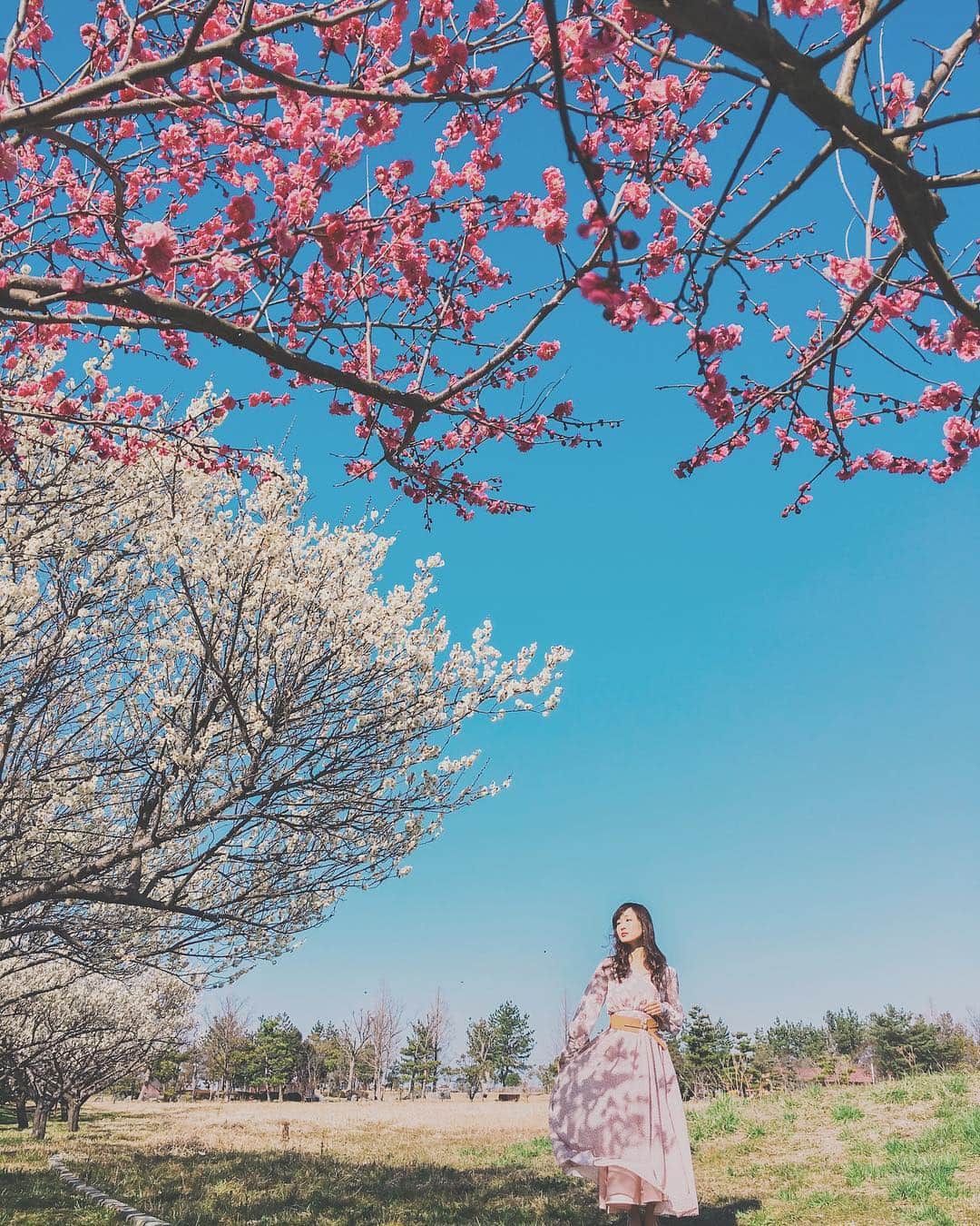 TAKI Modのインスタグラム