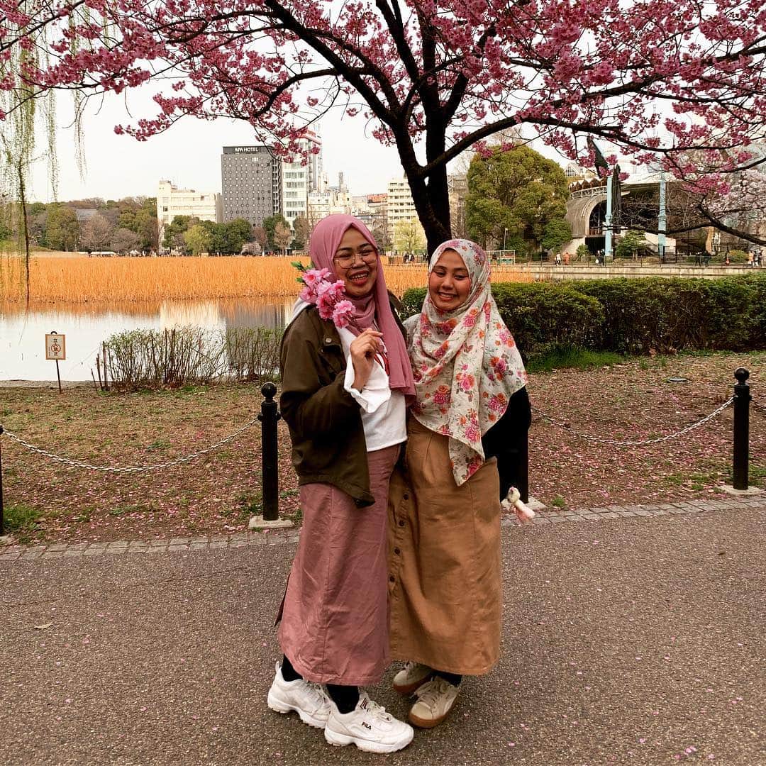 山中千尋さんのインスタグラム写真 - (山中千尋Instagram)「Cherry blossom💕」3月27日 19時54分 - chihiroyam