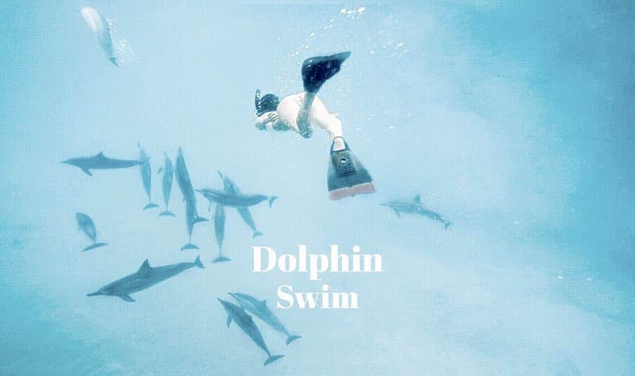 影山可蓮さんのインスタグラム写真 - (影山可蓮Instagram)「・ ・ 🐬🐬🐬 #dolphinswim @ makaha hawaii Swipe>>> ・ ・ 可愛いお気に入りの水着で 初シュノーケリング🌊 本当にラッキー！ たっくさんの🐬と泳げた😭💕 ・ ・ ・ 🏷 SWIMWEAR @alexiastam_official 📷 @lukekenjiro ・ ・ ・ #alexiastam  #ocean #dolphin #dolphins #hawaiisbestphotos #dolphinlove #snorkel #snorkeling #snorkelaroundtheworld  #hawaii  #makaha  #ハワイ #ワイキキ #水着 #swimwear #beachwear #bikini  #outfit #ootd  #karen_hawaii」3月27日 20時05分 - karenoutfits