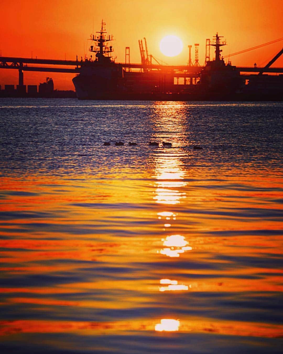 横浜市さんのインスタグラム写真 - (横浜市Instagram)「Sunrises over the bay will float your boat 🌅 Photo: @geshi422 #myyokohama」3月27日 20時16分 - findyouryokohama_japan
