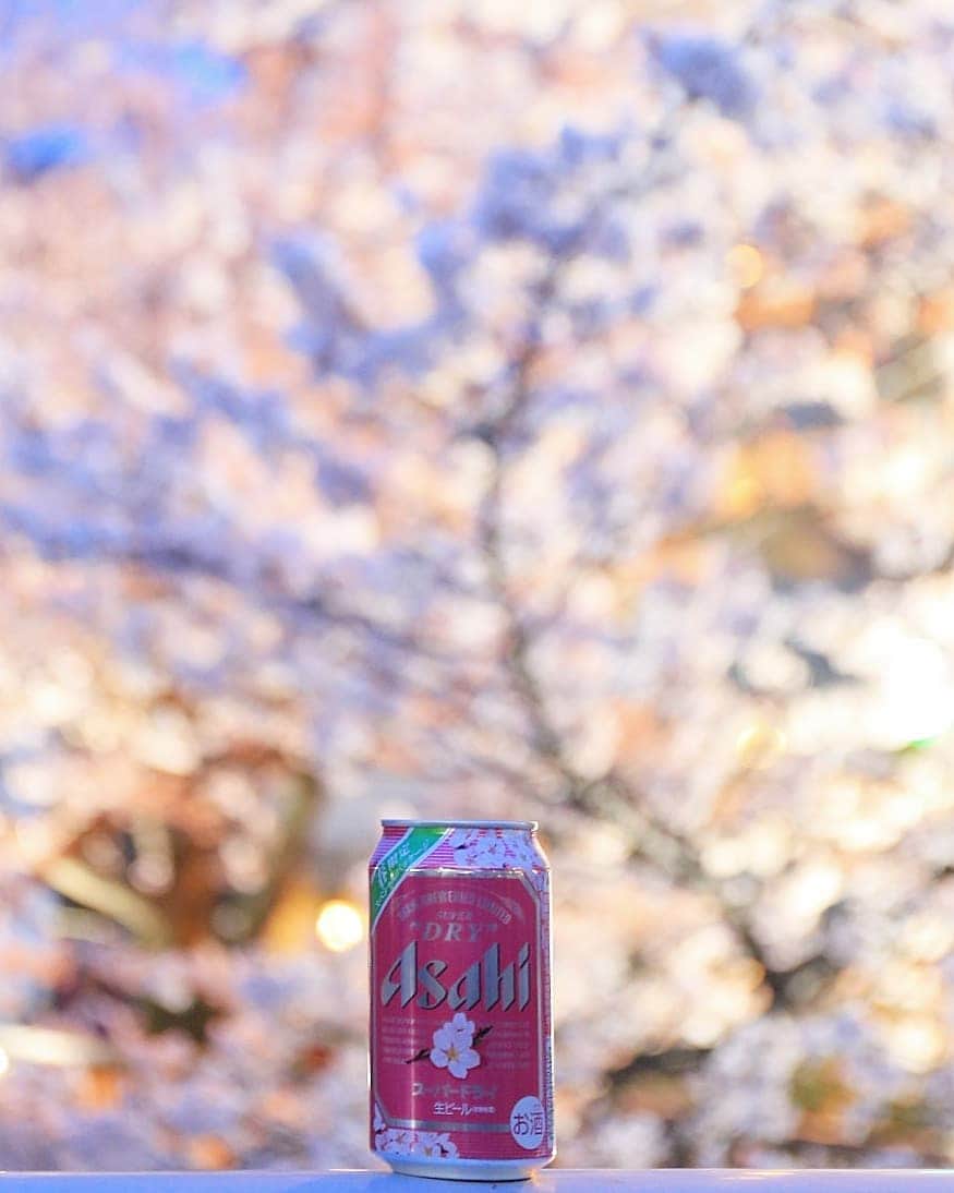 く～さんのインスタグラム写真 - (く～Instagram)「こんばんは🌸  桜の開花からそろそろ1週間。今日はお天気も良いし、仕事帰りにビール片手にお花見しました。  毎年訪れるこの桜並木。ちらほら宴会も見られましたが、そんなに人も多くないから落ち着いて見ることができます。  コンビニでビール買って写真撮影📷スーパードライの桜バージョンと共に。  土曜日は☔予報ですが…予報が外れないかなぁ～。てるてる坊主つくっちゃおうかなぁ😀 #桜前線2019 #はなまっぷ #桜 #東京花見スポット #ソメイヨシノ #夜桜 #花見#東中野 #神田川桜並木 #ビール #アサヒスーパードライ #アサヒビール #ビールクズ #酒好きな人と繋がりたい #ビール好き #飲酒タグラム #ビール好き #ビール女子 #ビールおばさん #beer #cherryblossom #igersjp #tokyocameraclub #tokyo #flower」3月27日 20時29分 - cafecafecoo