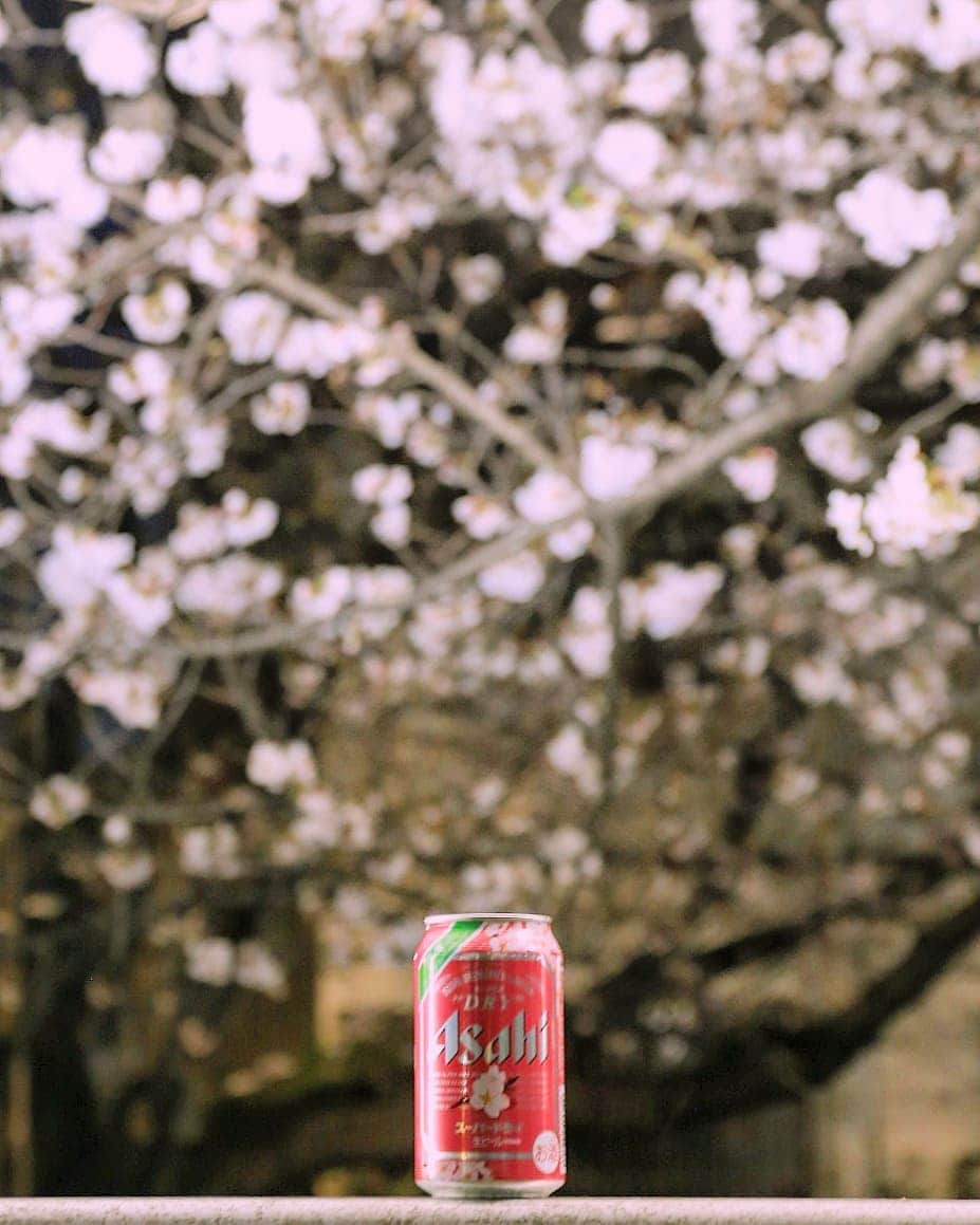 のインスタグラム：「こんばんは🌸  桜の開花からそろそろ1週間。今日はお天気も良いし、仕事帰りにビール片手にお花見しました。  毎年訪れるこの桜並木。ちらほら宴会も見られましたが、そんなに人も多くないから落ち着いて見ることができます。  コンビニでビール買って写真撮影📷スーパードライの桜バージョンと共に。  土曜日は☔予報ですが…予報が外れないかなぁ～。てるてる坊主つくっちゃおうかなぁ😀 #桜前線2019 #はなまっぷ #桜 #東京花見スポット #ソメイヨシノ #夜桜 #花見#東中野 #神田川桜並木 #ビール #アサヒスーパードライ #アサヒビール #ビールクズ #酒好きな人と繋がりたい #ビール好き #飲酒タグラム #ビール好き #ビール女子 #ビールおばさん #beer #cherryblossom #igersjp #tokyocameraclub #tokyo #flower」