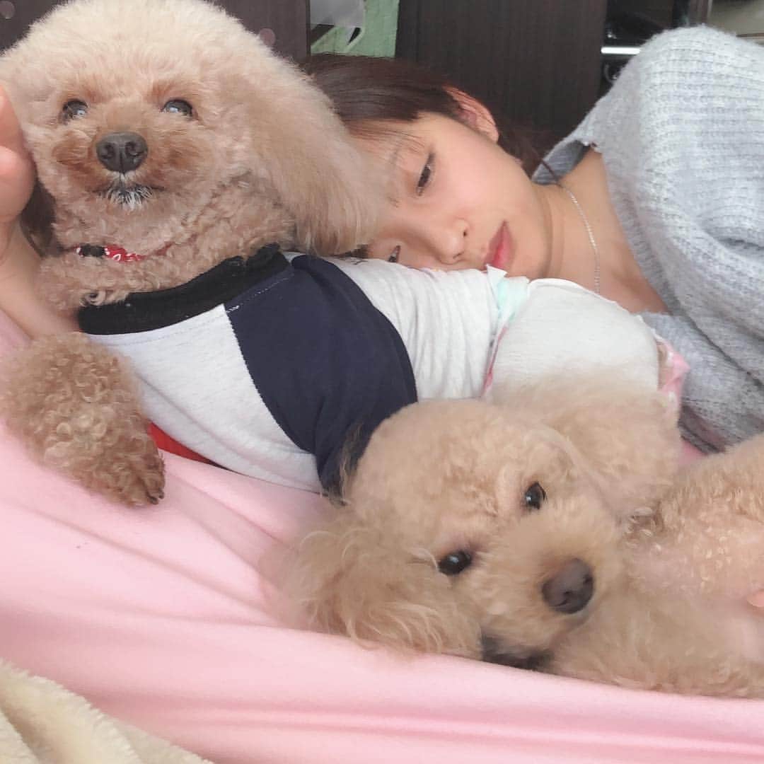 のインスタグラム：「実家でマッタリ♡ #今日のゆずっきー」