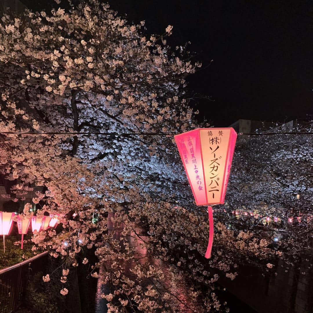 Rinaさんのインスタグラム写真 - (RinaInstagram)「. . . 🌸🌸🌸 . . . .」3月27日 20時50分 - riragon