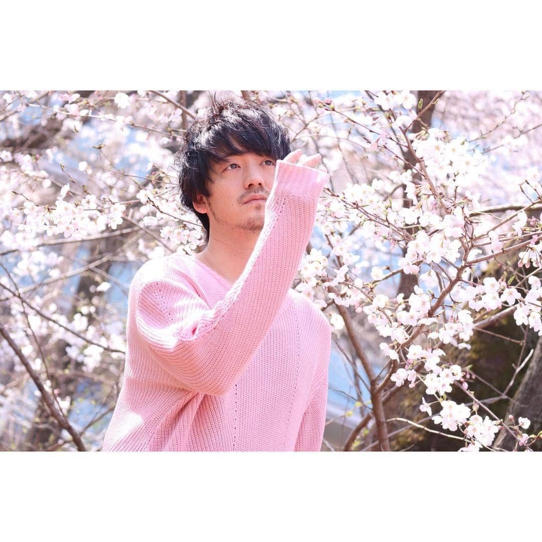 三浦孝太さんのインスタグラム写真 - (三浦孝太Instagram)「大好きな桜の咲く季節 もうすぐ満開になるかね 大好きな景色 いつか一緒に見たいですね #桜の咲く季節 #桜 #sakura #福岡 #ホームページリニューアル しました」3月27日 20時49分 - kota_3ura