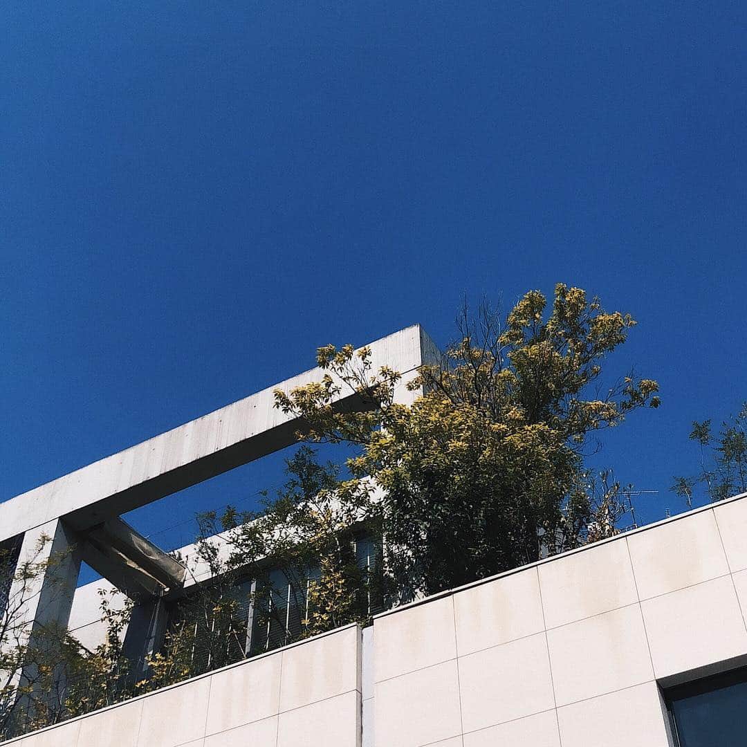 山田弥希寿さんのインスタグラム写真 - (山田弥希寿Instagram)「・ どんな日々を過ごしていても 空を見上げれば一息つける。 ・ Instagramの更新頻度上げたい・・・ ・ #空#igでつながる空#空が好き#空が好きな人と繋がりたい#そら#そらが好き#そらが好きな人と繋がりたい#ソラ#ソラ部#ソラ好きな人と繋がりたい #東京 #青山 #青空 #sky#blue#japan#love_all_sky#phos_japan#sky_love#skylove#tokyo#aoyama#skylovers#bluesky#skylovers#bestphoto_japan#icu_japan#igersjp#reco_ig#justgoshoot#mcgpics」3月27日 20時52分 - mikitoshi_617