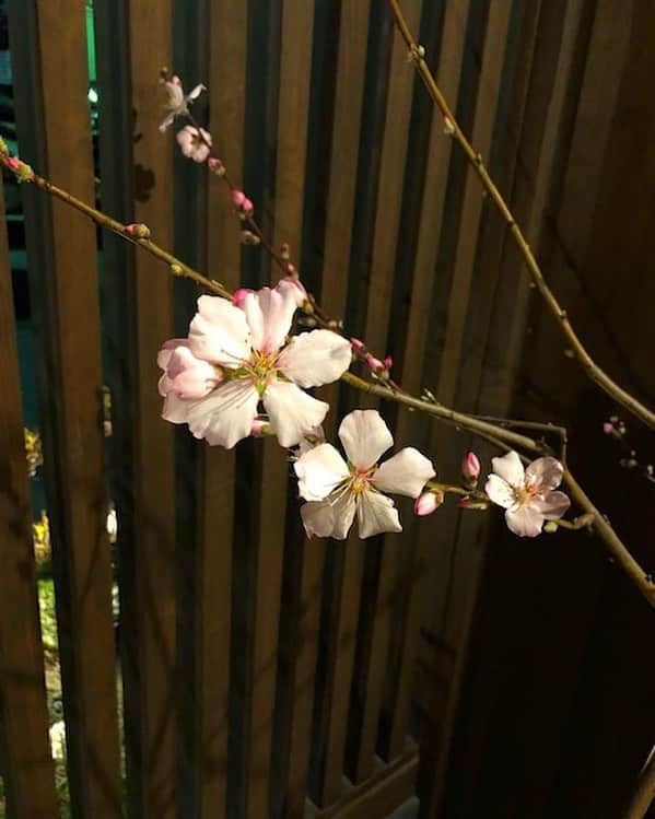 祥吉のグルメインスタ