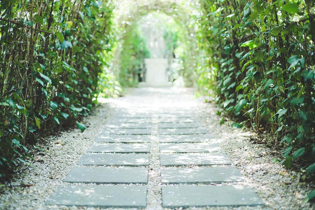 ラクラリエールのグルメインスタ