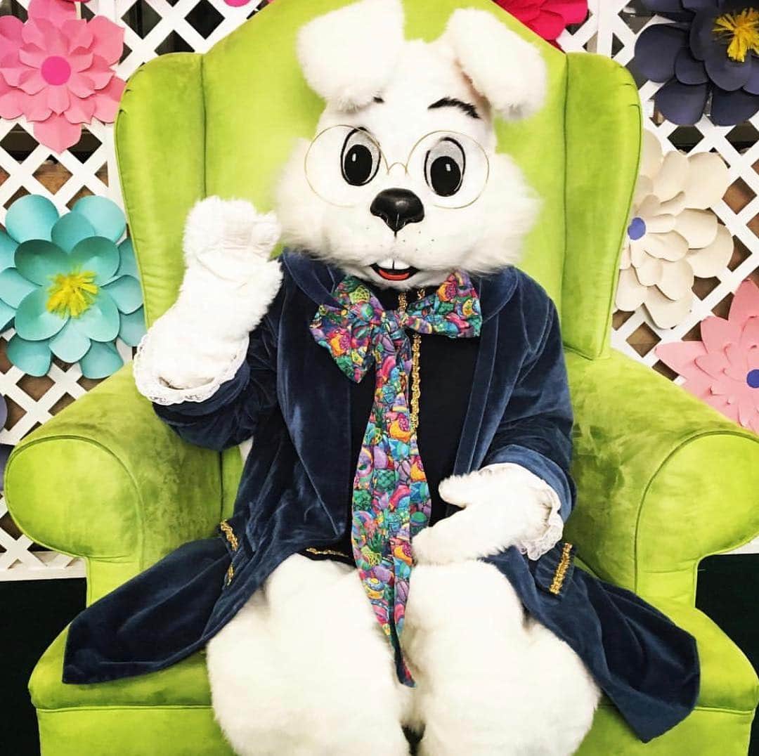 Priscilla and Poppletonさんのインスタグラム写真 - (Priscilla and PoppletonInstagram)「MEET AND GREET: JACKSONVILLE, FL! These little piggies are going wee, wee, wee all the way to @shoptheavenues to see the Easter Bunny, and you can come, too! We will be set up center court, right by the Easter bunny himself this Sunday from 1-3pm. Come see us both!🐷🐷🐷🐷🐷🐶🐰 . To all our four legged friends, the mall is hosting “Pet Night” with the bunny this Sunday from 6-8, so you can come meet him and get pics, too!🐷💕🐰#avenuesmall #jacksonville #easterbunny #nationallittleredwagonday #Pigtailthepug #PiggyPenn #PoseyandPink #PrissyandPop .」3月27日 21時22分 - prissy_pig