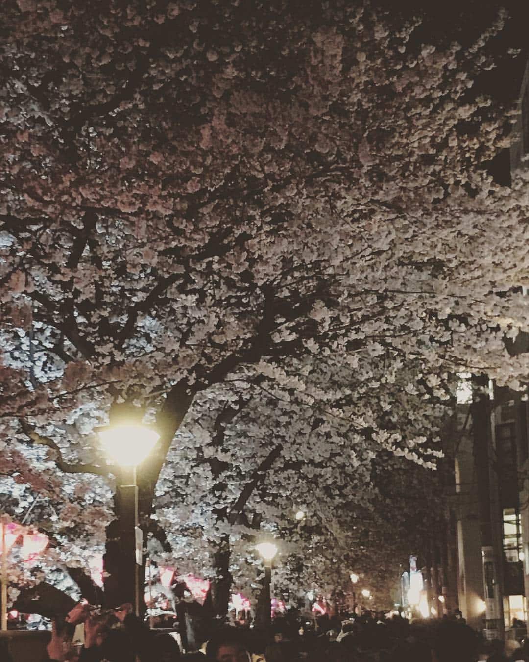 のインスタグラム：「お花見🌸できたぁーーー🍡#中目黒さくら #ひとおおすぎた😂 #はなよりだんご🍡」