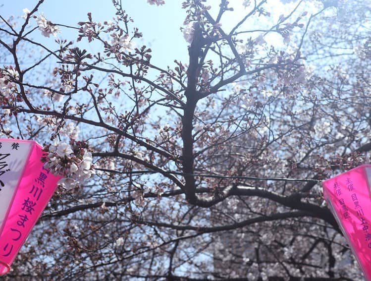 伊藤友季子さんのインスタグラム写真 - (伊藤友季子Instagram)「ー𝑪𝒉𝒆𝒓𝒓𝒚 𝑩𝒍𝒐𝒔𝒔𝒐𝒎𝒔🌸 Almost in full bloom... . 満開まであと少しですが 今日は良いお天気だったので 毎年訪れている目黒川に行ってきました✿ . 花開いた桜も、まだ蕾の桜も 太陽の優しい光を浴びて 風にゆらゆらと揺れる姿は 生命力に満ち溢れていて 本当に美しかったです(*ˊᵕˋ*) . 新年度に向けて 気持ちを引き締めていこう。 . –––––––––––––––––––––––––––––––––––––———— #cherryblossom #cherryblossoms #flower #flowers #meguroriver #sky #目黒川 #桜 #お花見 #花見 #花 #東京桜 #東京 #空」3月27日 21時27分 - yukiko_xx