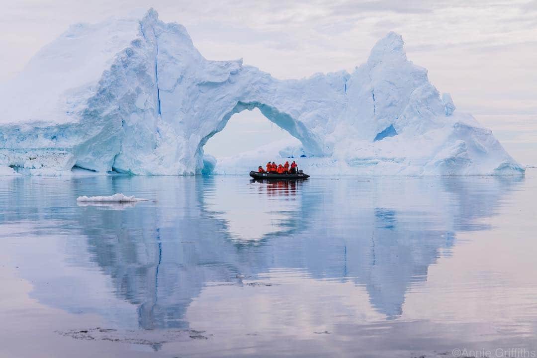 thephotosocietyさんのインスタグラム写真 - (thephotosocietyInstagram)「Photo by @anniegriffithsphotography. I had a ball photographing some of the most amazing scenery I have ever seen in #Antarctica. ❄️ I traveled as an expert with @natgeoexpeditions on a three week trip to Antarctica, including South Georgia Island and the Falklands.  For more photographs of amazing Antartica, follow @anniegriffithsphotography  @rippleeffectimages #frozen #icebergs #wonders #adventure #explore #ice #iceicebaby」3月27日 22時00分 - thephotosociety