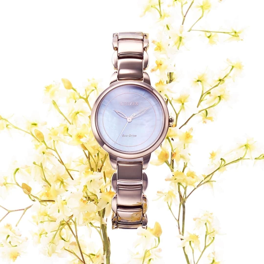 citizenlwatchのインスタグラム