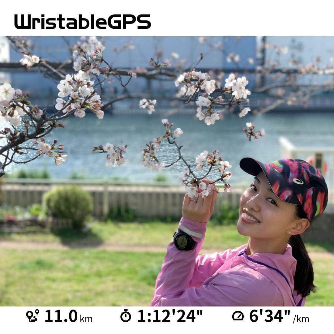 坂野志津佳さんのインスタグラム写真 - (坂野志津佳Instagram)「日曜日の11キロラン🏃‍♀️🌸 この時はまだ蕾も多かったんだけど、今日はもう満開に近かったよ！ お花見しなきゃ🍺  #ランニング #ランニング女子 #トレーニング #筋トレ女子 #スポーツ女子クラブ #ヨガインストラクター  #run #running #workout #tokyo #japan #epson #epsonview #japanesegirl #me #nrc  #桜 #sakura」3月27日 22時00分 - oshizu0511