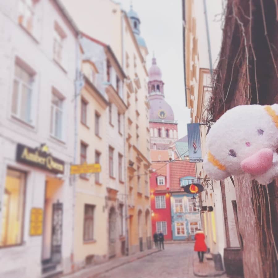 こぎみゅん（サンリオ）さんのインスタグラム写真 - (こぎみゅん（サンリオ）Instagram)「. おはようみゅん‥ 道に迷ったみゅん‥ #迷子 #こぎみゅん #バルト三国 #ラトビア #リガ #可愛い街 #かわいい #サンリオ #キャラクター #小麦粉 #sanrio #character #flour #cogimyun #kawaii #latvia #riga」3月28日 8時51分 - cogimyun_official