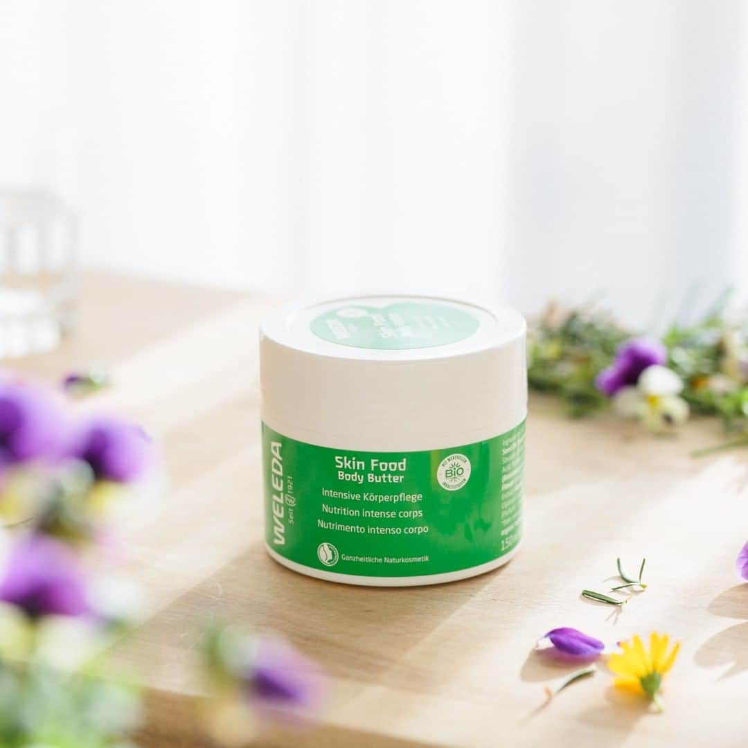 ヴェレダ Weleda Japanさんのインスタグラム写真 - (ヴェレダ Weleda JapanInstagram)「【先行発売！大人気スキンフードシリーズより新商品！】 本日より、新商品スキンフードボディバターが一部店舗限定で先行発売となります♪  軽やかで肌にすっとなじみ、リッチなテクスチャーのボディクリーム。 スキンフードシリーズから乾燥・肌荒れを防ぐボディ用集中ケアクリーム  瞬時にしっとり柔肌に  カカオバター、シアバターの潤いで肌を乾燥から守り、お肌をいたわる伝統ハーブが肌をじっくりケアします。  伸ばしやすく、肌なじみの良い、リッチなテクスチャー。 コクがあるのにベタつかない！ . ※WELEDA直営店・公式オンラインショップ・コスメキッチン先行発売となります。 ※そのほかのお取引先では9月4日（水）より発売を予定しております。 ・・・・・・・・・・・・・・・・・・・・ 「スキンフード ボディバター」 　150mL 3,800円＋税 ・・・・・・・・・・・・・・・・・・・・ #ヴェレダ #WELEDA #オーガニック #オーガニックコスメ #アントロポゾフィー #人智学 #植物療法 #シュタイナー #ホリスティック #ナチュラル #ボディケア #スキンケア #保湿 #ボディ #乾燥 #新商品 #スキンフード #パンジー #集中保湿 #ひび割れ #ボディバター #先行発売 #店舗限定 #EC #直営 #コスメキッチン #数量限定」3月28日 8時01分 - weleda_japan