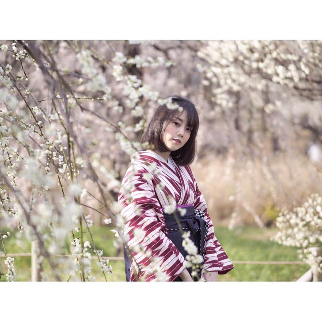 小川あゆ美さんのインスタグラム写真 - (小川あゆ美Instagram)「. #🌸 今日も良い一日を* . . . . . #今日もx日和 #枝垂れ梅 #梅 #袴 #和装 #ポトレ女子 #大正ロマン #はなまっぷ #花フレンド #お写んぽ #季節を楽しむ #広がり同盟 #東京カメラ部 #ポートレート部 #東京女子部 #kimono #japaneseapricot #ume #team_jp_  #lovers_nipppn #ig_japan #portrait_shot #wu_japan #기모노 #매화 #꽃스타그램 #얼스타그램 #셀스타그램 #팔로우미」3月28日 8時02分 - ayumi_ogawa