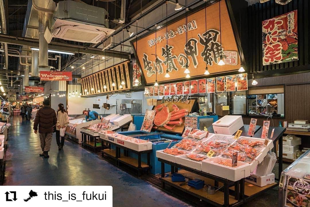 越前かに職人　甲羅組のグルメインスタ