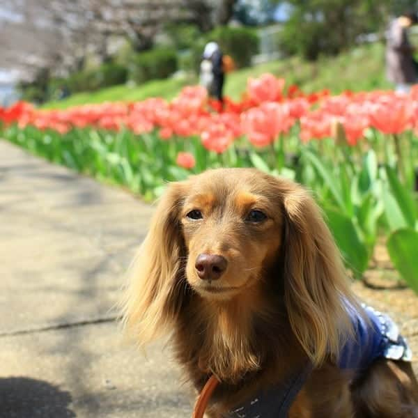 くるみんのインスタグラム