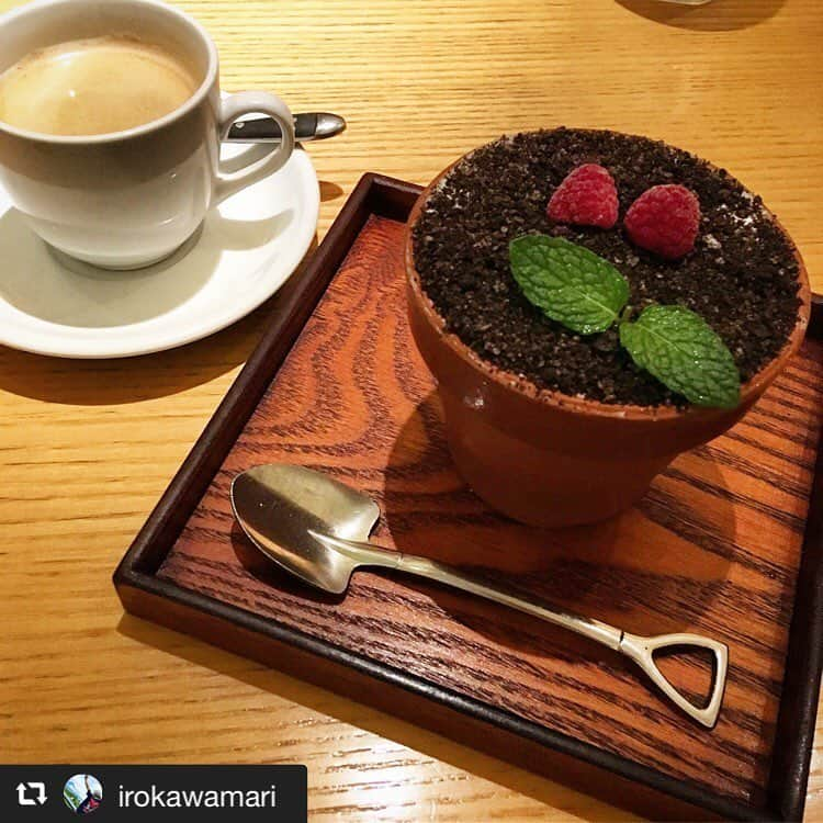 ハレノヒのインスタグラム：「#repost @irokawamari via @PhotoAroundApp  フラワーポットを食べました😙 中身はクリームチーズベースのケーキでした🍰 . #新宿#ルミネエスト#ハレノヒ#フラワーポット#フラワーポットケーキ#話してたらあっという間#ケーキの種類で悩む友達を見てるのすら楽しかった  @irokawamari様 ご来店ありがとうございます😊お写真も嬉しいです♪ #かわいい#ケーキ#植木鉢#カフェ#ここでしか食べられない#harenohi#cafe#cute#tokyo#shinjuku#lumineest#sweets#cute」