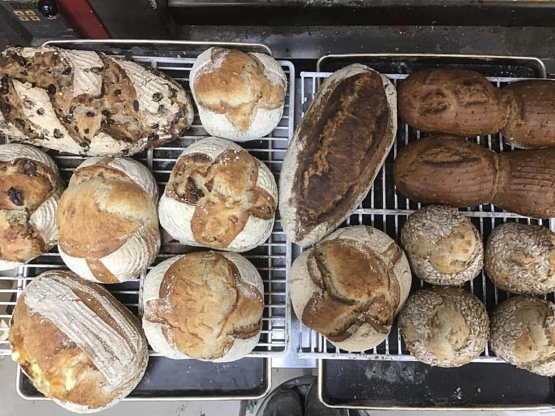 魔女菅原のグルメインスタ