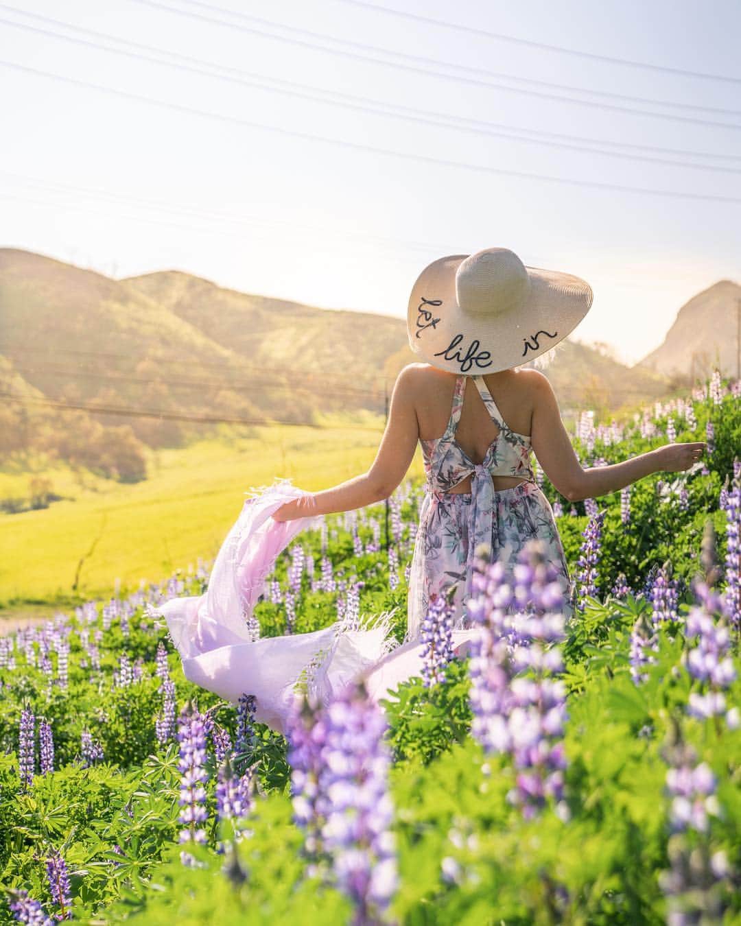 のインスタグラム：「Everything is blooming and it fills my heart with joy.」