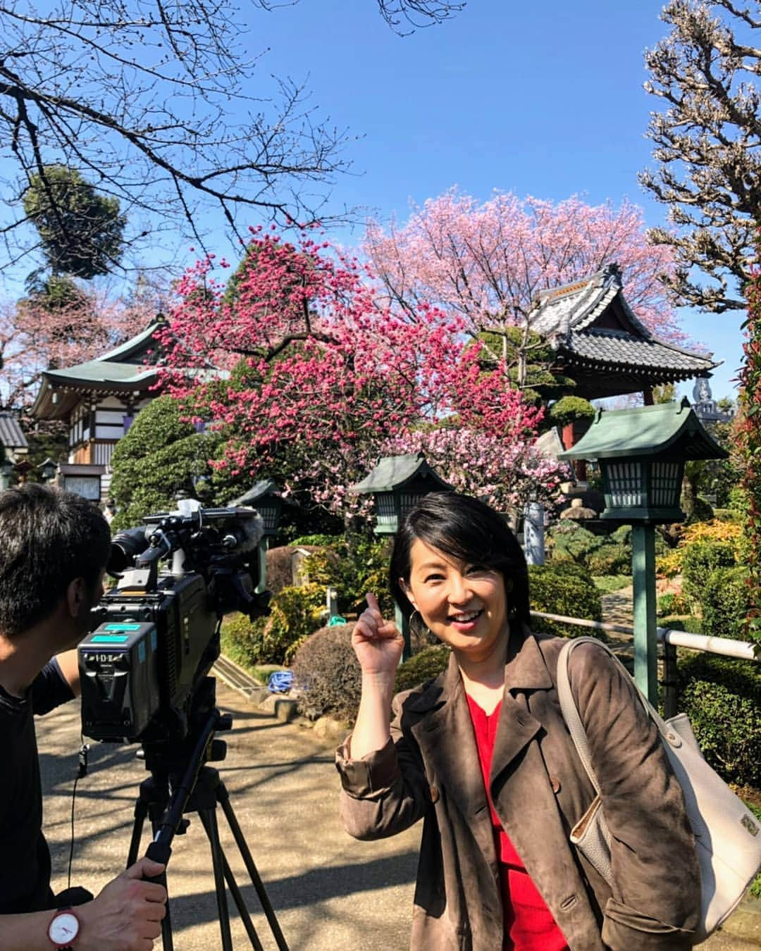 小島奈津子さんのインスタグラム写真 - (小島奈津子Instagram)「2019*3*28 #ぶらり途中下車の旅  あさって3/30(土) 9:25～ #日テレ系 今回は #埼玉高速鉄道 ～ #南北線 沿線をぶらりします👟 ． そして、、明日3/29(金) 5:25～ #めざましテレビ に生出演いたします。 16年ぶり～‼️ 今日は早く寝ますー💤😁 ． #ぶらり衣裳はいつも私服です」3月28日 8時45分 - kojimanatsuko_official