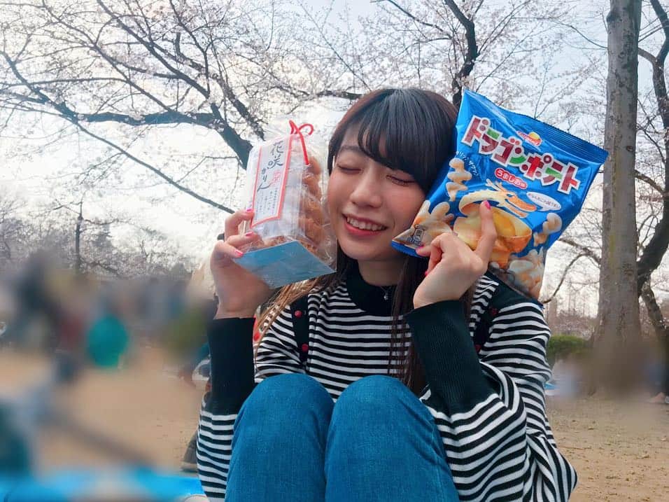 ぱいぱいでか美のインスタグラム：「友達とお花見したよ❀ 激推しお菓子ドラゴンポテトと三重お菓子花咲かりん！ ꙳ #お花見 #ドラゴンポテト #花咲かりん #三重県 #なんじゃもんじゃゲーム ꙳ 好きな人間集めて花見てお酒飲むやつやりました〜！ 桜は綺麗だなあ。満開になるのが楽しみ！ 昨日名古屋行ってたから名駅で三重県産の「花咲かりん」を持ってきました〜！ 前も載せたけどほんとに美味しいから食べて！ あと買い出しのときに激推しお菓子「ドラゴンポテト」買わせてもらったぞ……！ これもほんとに美味しいから食べてみてね！ WebCM出させてもらってます☻ あと初めてやったなんじゃもんじゃゲームが楽しかった！ またやりたいー！」