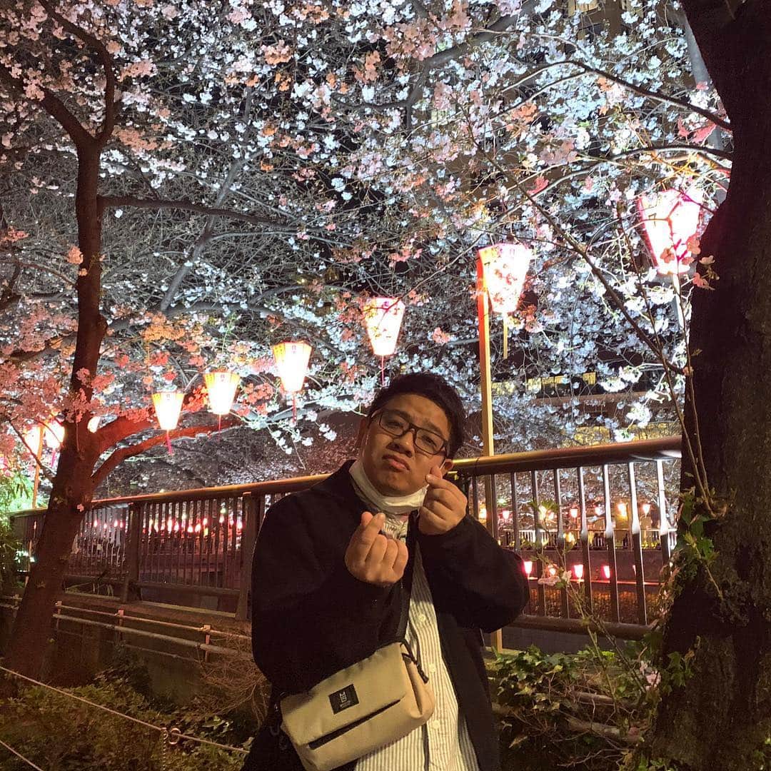 昴生さんのインスタグラム写真 - (昴生Instagram)「桜！！ #仕事終わりに #目黒川に桜を #見に行ってきました！ #はじめての #東京の桜！ #どこで見ても桜は #綺麗！ #まだ満開ではない感じやったけど #ライトアップされていて #見に来た方々の顔は #笑顔で満開でした！ #この文章を読んだ人の顔は #笑顔で満開でしょうか？ #きっと真顔でしょう！ #笑顔の花が咲かせるように！ #いつか花咲じいさんではなく #花咲兄さん #になりますように！ #まあまだ #真顔でしょうね！」3月28日 0時24分 - mikikousei