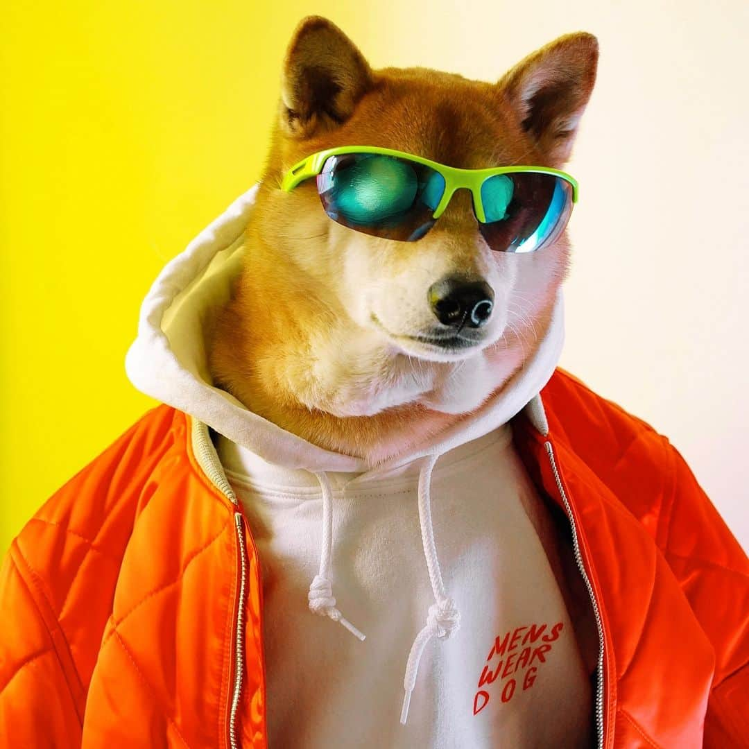 Menswear Dogさんのインスタグラム写真 - (Menswear DogInstagram)「⚡️Neon Wow ⚡️ Hoodie: @mollystanard x @mensweardog SS19 collection (link in bio)  Jacket: @ragandbone  Sunglasses: Vintage Deadstock」3月28日 1時11分 - mensweardog