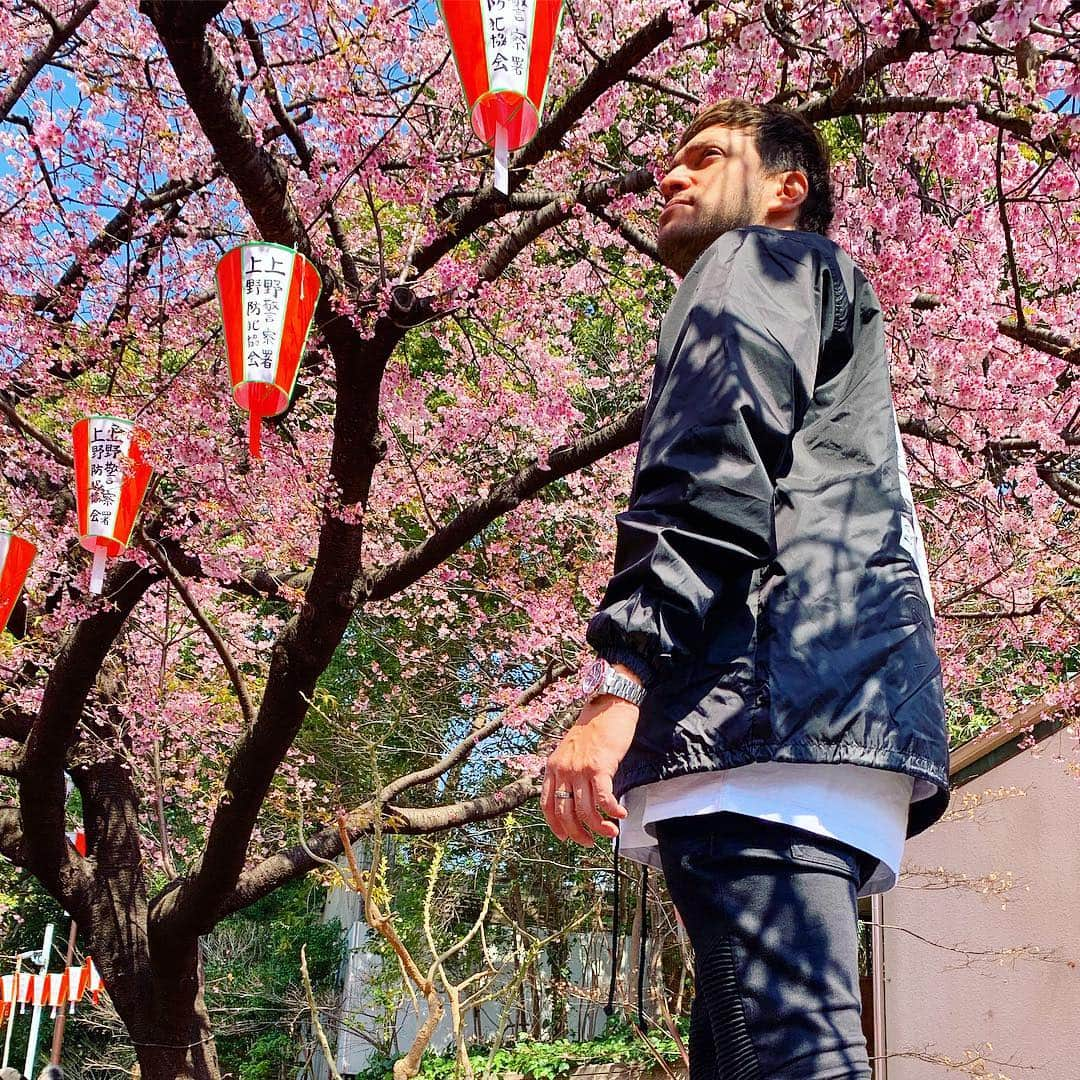 ジョナス・ブルーさんのインスタグラム写真 - (ジョナス・ブルーInstagram)「Happy Cherry Blossom Season 🌸🇯🇵」3月28日 1時30分 - jonasblue