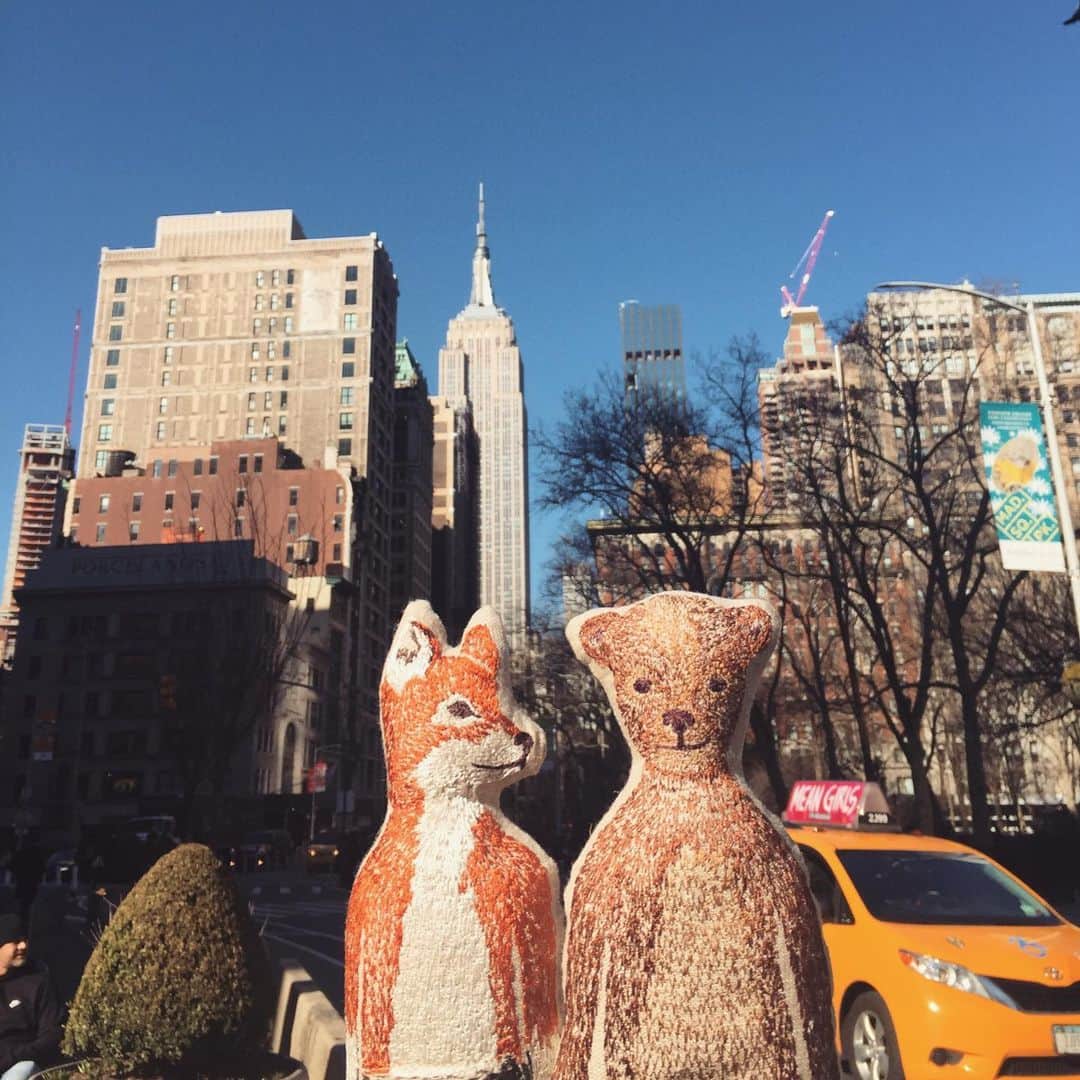 のインスタグラム：「Fox and Bear out and about in the big apple! 🏙🚕❤️They found a nice spot to pose with the iconic Empire State Building by Madison Square Park. They had a blast walking around yesterday, visiting some of our stockists starting in Brooklyn @collyersmansion then into Manhattan @johnderiancompany and @cursivenewyork @abccarpetandhome . Dinner @eatalyflatiron 😋🍝. #coralandtusktravel #newyork #fox #bear #visitingnewyork #empirestatebuilding」
