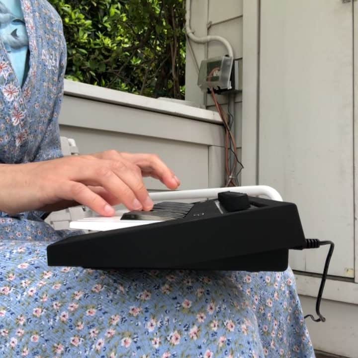 のインスタグラム：「big blue in the backyard. morning coffee edition」