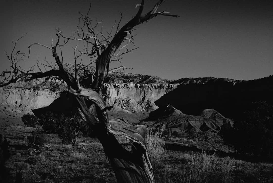 ピーター・リンドバーグさんのインスタグラム写真 - (ピーター・リンドバーグInstagram)「Good evening everyone, where are you reading us from, today? - [Photo: Ghost Ranch, New Mexico, 2011] #fromthevault #LindberghStories #LynneKoester #voguegermany #2bmanagement」3月28日 3時28分 - therealpeterlindbergh