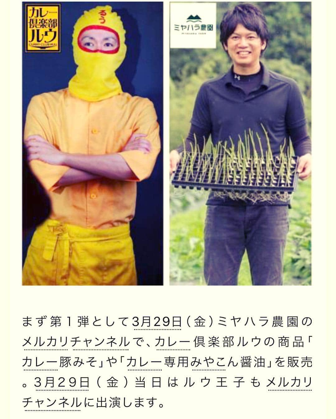 のインスタグラム：「【いよいよ明日３月２９日に出演！】今話題のライブコマース！そのメルカリチャンネルで全国トップの配信者ミヤハラ農園のにんにく王子メルカリチャンネルにルウ王子が登場！カレー豚みそやカレー専用みやこん醤油を販売！明日から武雄市入りすルウ！楽しみでござルウ～！！お楽しみに！★ ★ #ミヤハラ農園 #チキン南蛮カレー #カレー倶楽部ルウ #メルカリ #メルカリチャンネル #ルウ王子 #フォロバ #汐留 #にんにく鉄子 #宮崎 #都城 #フォロワー #武雄 #like4like  #いいね#福岡 #にんにく王子#テレビ東京 #梅田 #汐留 #六甲道 #神戸 #佐賀 #ライブ #ライブコマース #難波 #佐賀 #長崎」