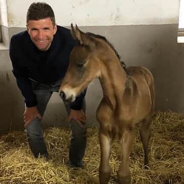 トーマス・ミュラーのインスタグラム：「Today born 🐴😀 on the same day as our keeper @manuelneuer ⚽️ so the name of our little colt is Manuel 🎂 happy birthday 👍🏼 #fohlen #thomasmüller #geburtstag #esmuellert」