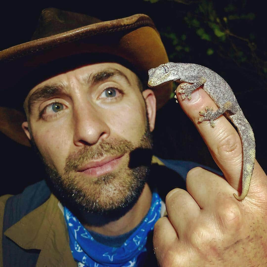 アニマルプラネットさんのインスタグラム写真 - (アニマルプラネットInstagram)「This spiny-tailed gecko sure is a beaut! These stunning lizards roam all over Australia. (📸: @coyotepeterson) . . . . . #animalsofinstagram #animalplanet #animaloftheday #wild #wildlife #outdoors #animals #wildanimals #conservation #nature #animallovers #instanature #wildgeography #gecko #australia #coyotebrave」3月28日 3時38分 - animalplanet