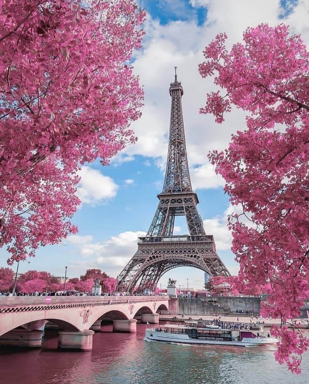 Wonderful Placesさんのインスタグラム写真 - (Wonderful PlacesInstagram)「Spring in Paris ✨💖💖💖✨ . Picture by ✨✨@kyrenian✨✨ #wonderful_places for a feature 💖」3月28日 5時11分 - wonderful_places