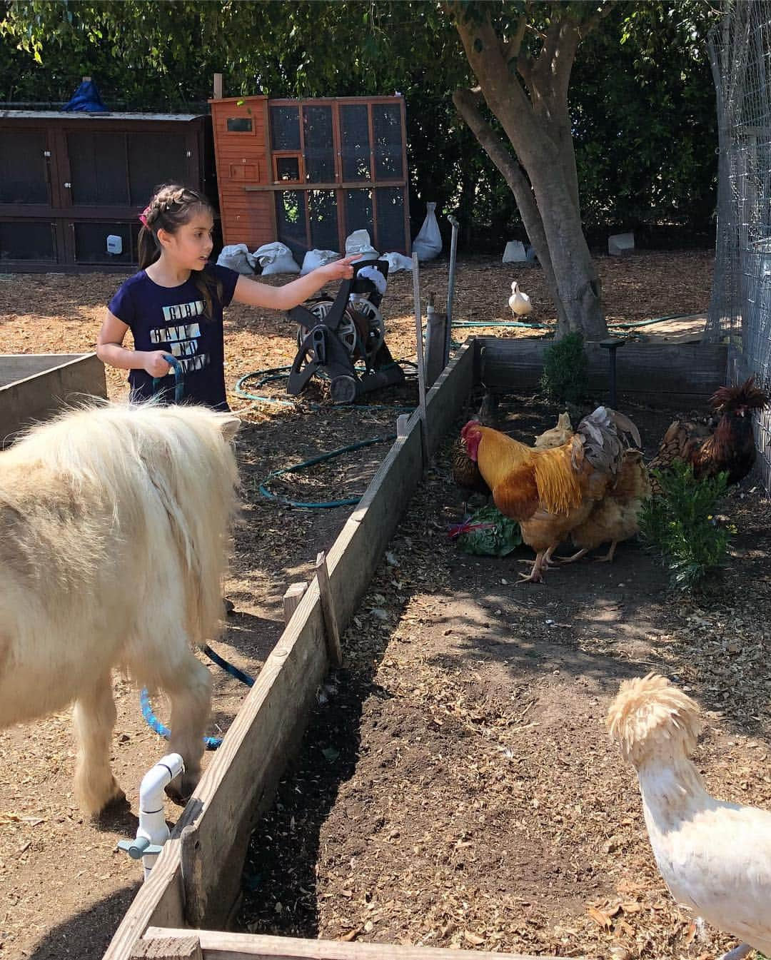 デニス・リチャーズさんのインスタグラム写真 - (デニス・リチャーズInstagram)「Eloise & I spent Sunday afternoon at @bigheartranch they do so much for animals & our community especially right after the #woosleyfire 🙏🏻❤️🐽🐹🐰🐴」3月28日 5時43分 - deniserichards