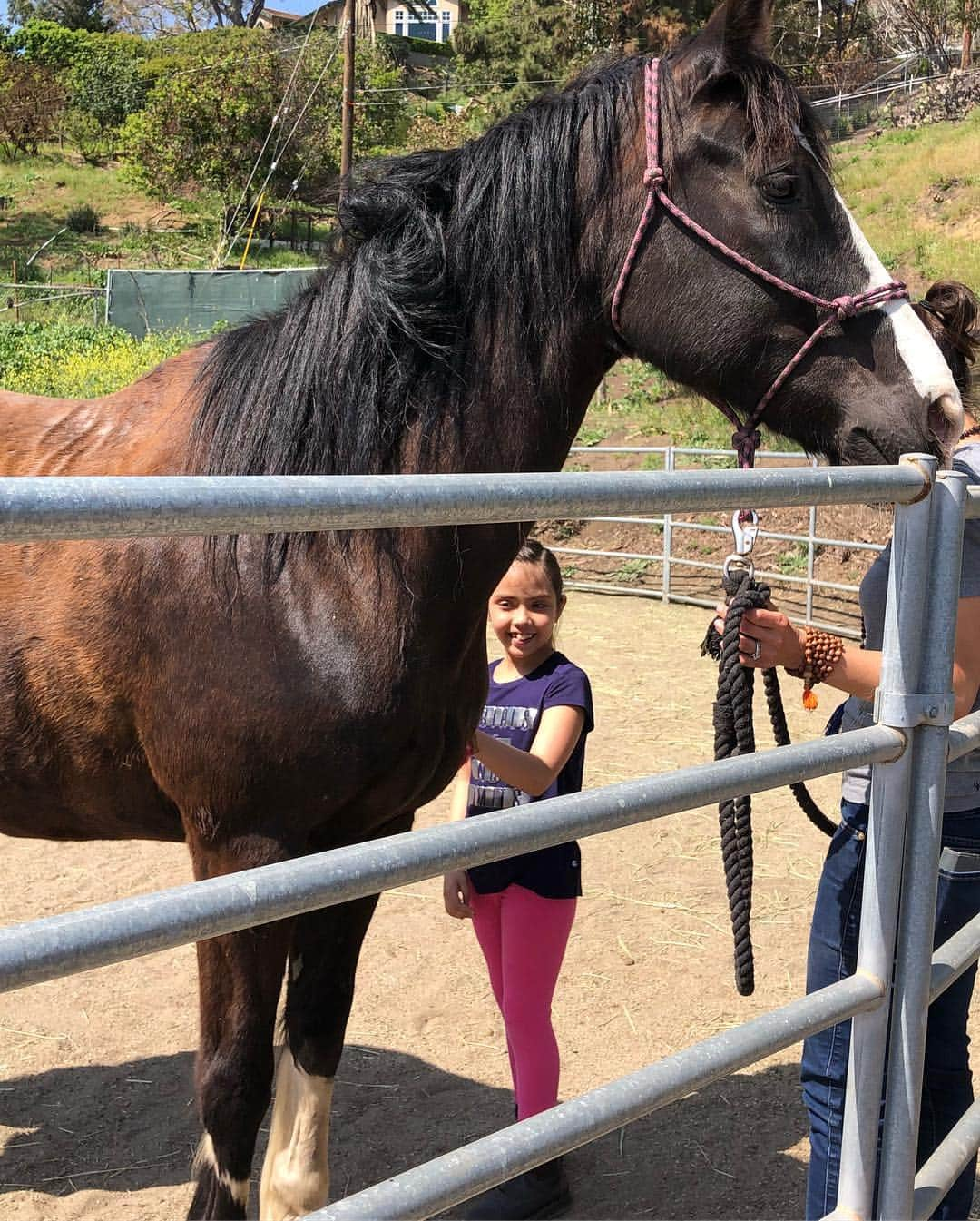 デニス・リチャーズさんのインスタグラム写真 - (デニス・リチャーズInstagram)「Eloise & I spent Sunday afternoon at @bigheartranch they do so much for animals & our community especially right after the #woosleyfire 🙏🏻❤️🐽🐹🐰🐴」3月28日 5時43分 - deniserichards