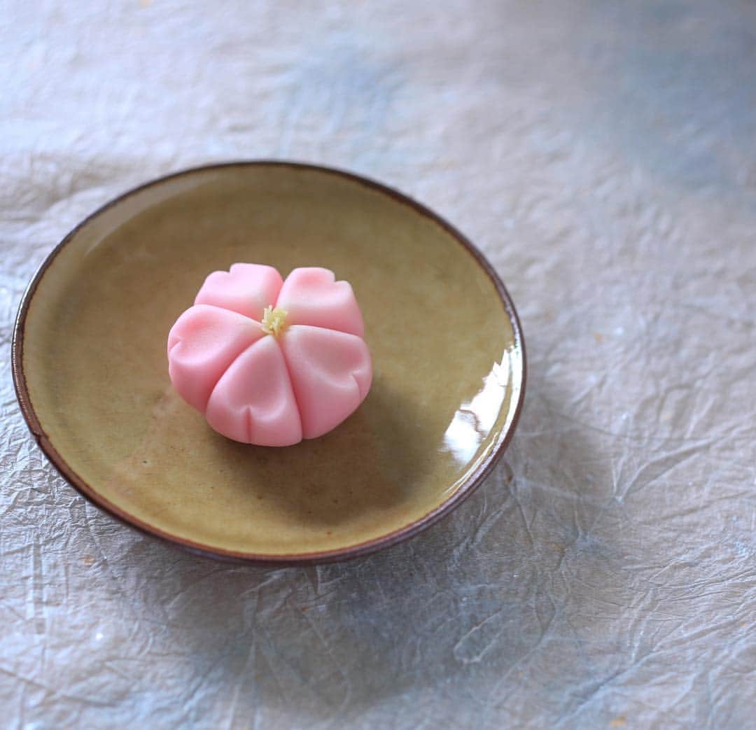 Toru Tsuchieさんのインスタグラム写真 - (Toru TsuchieInstagram)「今日の和菓子はねりきりで作った桜です。 ねりきりとは白餡に餅や芋を混ぜて作った和菓子で 茶道 で使われる「主菓子」の一種です。 撮影 用に作成しました。 昨日は商工会仲間に写真の撮り方を説明しに行きました。 小さい物を撮るのはそこそこ得意と思っていますが Tシャツは難しいですね。 フェイスブックページのいいね！もよろしくお願いします。 https://www.facebook.com/shishisu/ Today's wagashi is Cherry blossom with Nerikiri. The Nerikiri is the material of wagashi made by mixing the rice cake and yam in white bean. Is a kind of "Jounamagashi" as used in the tea ceremony. The sweets I've made for the shooting. #kook #福泉堂  #和菓子  #Милий #wagashi  #торт #出雲  #春 #カメラ好きな人と繋がりたい  #写真好きな人と繋がりたい　 #Japan_of_insta #和スイーツ #handmade　 #جميل #Japan #wagashi  #красивый #器  #blossom #gâteau #ig_color  #일본디저트  #Mignon  #igfood #craftsman #Kuchen #桜 #สวย #sweets #kawaii」3月28日 6時30分 - choppe_tt