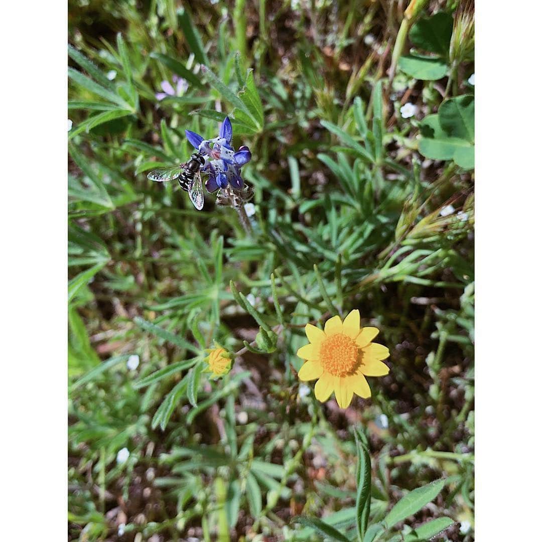 ナタリア・コルドバ・バックリーのインスタグラム：「beauty is in the details ... it is in the most minute of things that real beauty, bliss and belonging is found ... perhaps because there is a profound desire in our spirit to not need much to find them....」