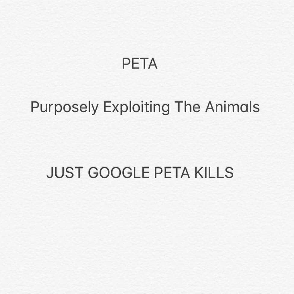 Black Jaguar-White Tiger さんのインスタグラム写真 - (Black Jaguar-White Tiger Instagram)「GOOGLE PETA KILLS  @peta」3月28日 6時49分 - blackjaguarwhitetiger