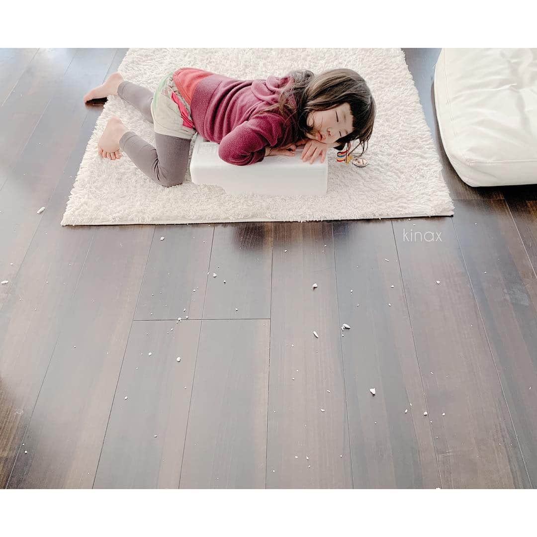 kinaxのインスタグラム：「. good morning(๑′ᴗ‵๑)☀in Japan, and good afternoon, good evening, good night for world friends! . 今朝も朝から花粉がものすごいー🌲 昨日風が強かったからかな(´Д` ) . . 昨日遊び疲れて、発泡スチロールを分解しながら 上に乗ったまま寝てしまった むちこさんʕ •́؈•̀ ₎笑 . 遊んでる途中に寝ちゃうのって ちびっこならではで かわゆいねぇʕ •́؈•̀ ₎♡ . ぷぷぷ♡ . . 話はちょっと変わって 前にもアップした #小掃除シリーズ の お風呂のドアの換気口のところを改良🛁 . マステやメンディングテープで不織布を 貼っていたのだけど だいたいで切ったテープの長さが合わなくて 何度も継ぎ足すと剥がすときに面倒だったのと テープの種類を色々試してみたけど 所々糊残りしたりしていたので 粘着タイプのマジックテープにしてみた✂︎ . トゲトゲの方を四隅と中央あたりに貼れば ちゃんと不織布がくっつくし 剥がしやすい！ . . まっすぐ綺麗にテープが貼れなくて やり直したりしなくて良くなったし さっと変えられるのが快適♡ . ちなみに糊残りはパストリーゼで拭くと 結構綺麗に取れるよʕ •́؈•̀ ₎ . . そんなこんなで春休みもあと1週間くらいかぁー🌸 春休みは短いねぇʕ •́؈•̀ ₎ . みんなも花粉に負けずに楽しい1日を♡ . #親バカ部 #最近手荒れが治らない #カサカサ 2019/03/28」