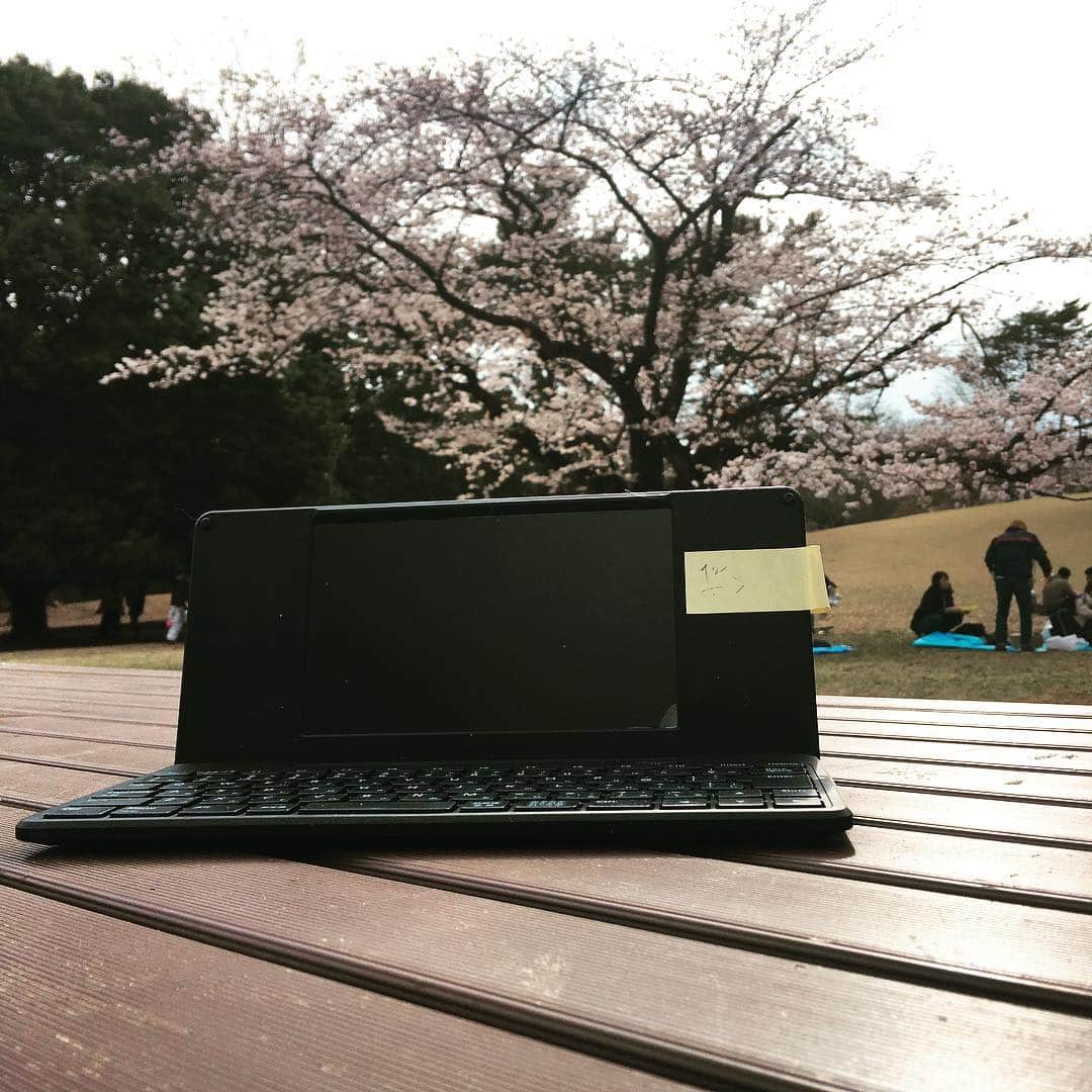金巻ともこさんのインスタグラム写真 - (金巻ともこInstagram)「桜の咲いた公園で仕事とか天才ではってやってみたんだけど思ったより寒くて15分くらいでカフェに避難したのであった！！ #花見  #おでかけ金巻」3月28日 17時02分 - tomotomoco