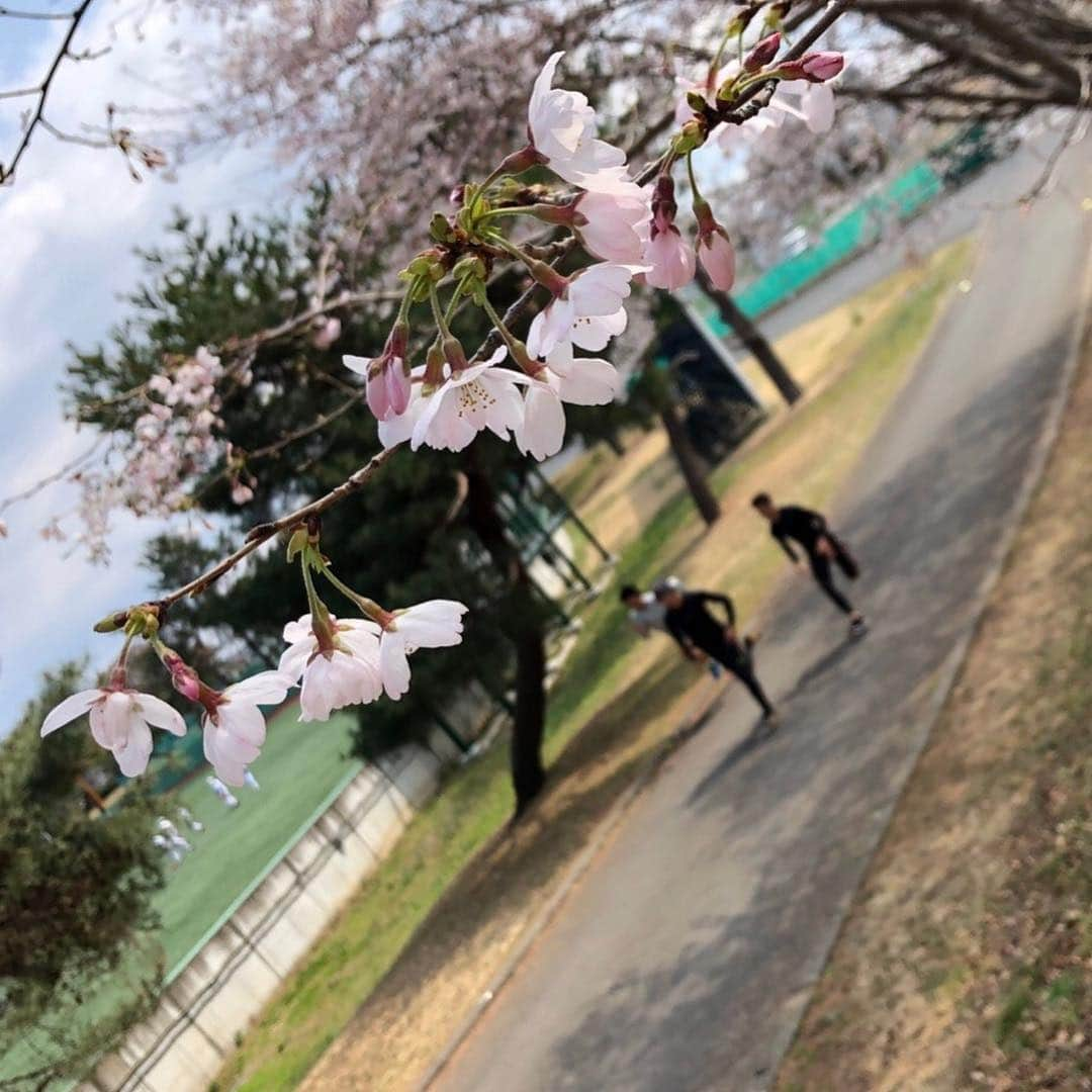 桐生祥秀さんのインスタグラム写真 - (桐生祥秀Instagram)「桜綺麗に咲いとるなー🌸🌸 #桐生祥秀 #津波響樹 #宮本大輔」3月28日 17時09分 - kiryu1215