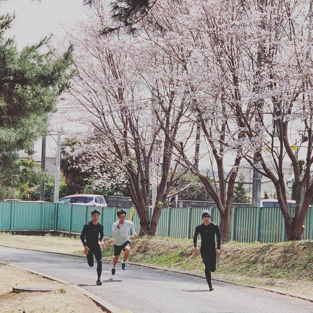 桐生祥秀さんのインスタグラム写真 - (桐生祥秀Instagram)「桜🌸2」3月28日 17時10分 - kiryu1215