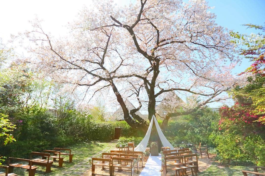 ラクラリエールのグルメインスタ